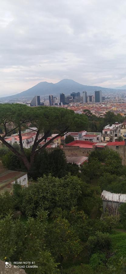 Casa Il Giardino Dei Limoni